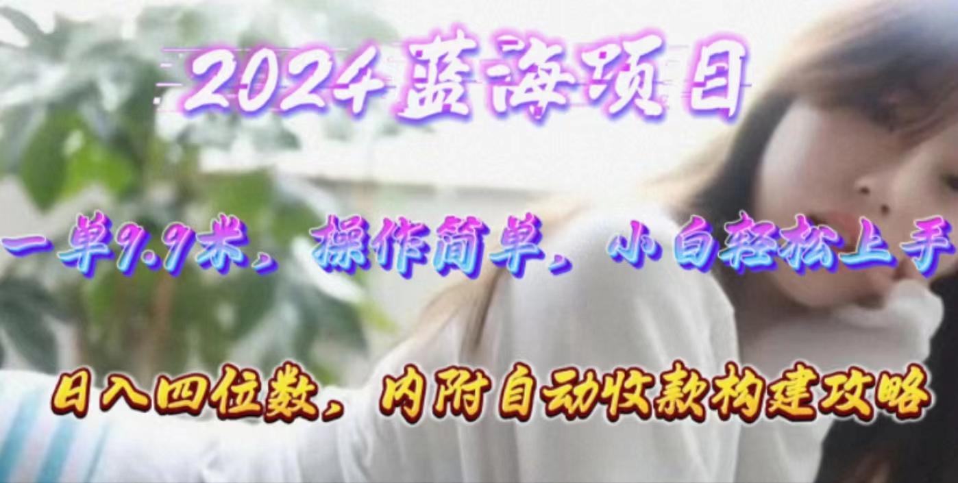 年轻群体的蓝海市场，1单9.9元，操作简单，小白轻松上手，日入四位数-禾谷轻创网