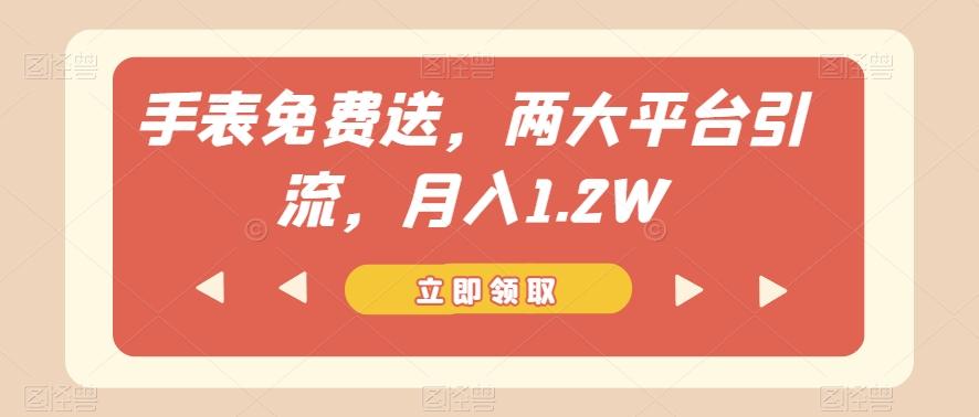 手表免费送，两大平台引流，月入1.2W【揭秘】-禾谷轻创网