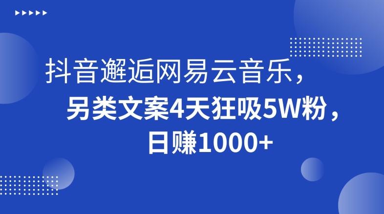 抖音邂逅网易云音乐，另类文案4天狂吸5W粉，日赚1000+【揭秘】-禾谷轻创网