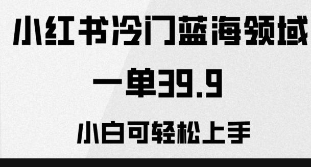 小红书冷门蓝海领域，一单39.9，小白可轻松上手-禾谷轻创网