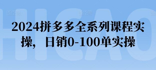 2024拼多多全系列课程实操，日销0-100单实操【必看】-禾谷轻创网