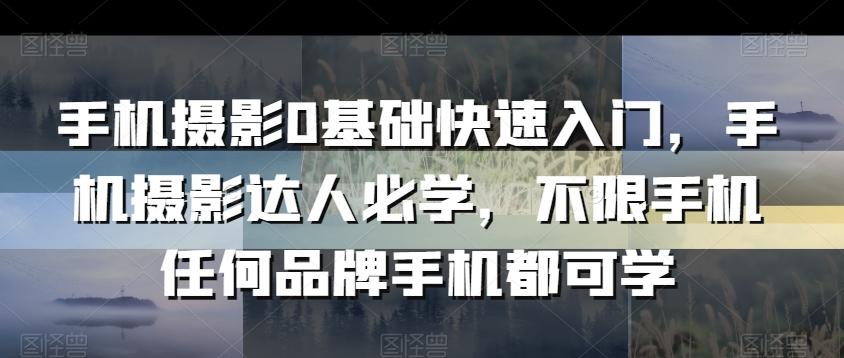 手机摄影0基础快速入门，手机摄影达人必学，不限手机任何品牌手机都可学-禾谷轻创网