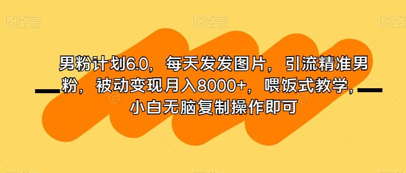 男粉计划6.0，每天发发图片，引流精准男粉，被动变现月入8000+，喂饭式教学，小白无脑复制操作即可-禾谷轻创网