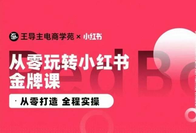 王导主·小红书电商运营实操课，​从零打造  全程实操-禾谷轻创网