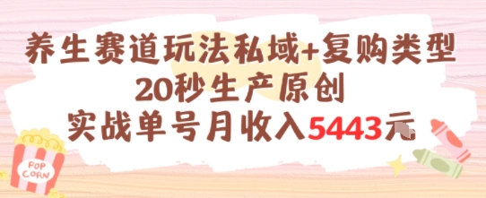 养生赛道玩法私域+复购类型，20秒生产原创实战单号月收入5k+-禾谷轻创网