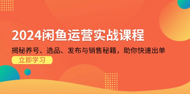 2024闲鱼运营实战课程：揭秘养号、选品、发布与销售秘籍，助你快速出单-禾谷轻创网