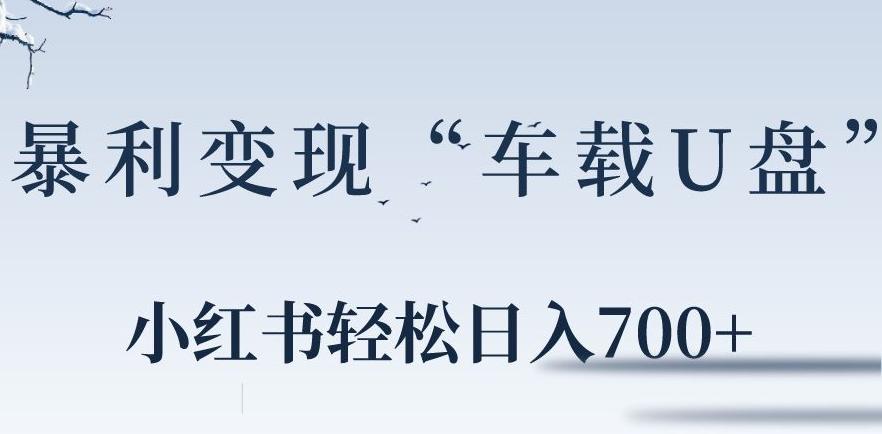 小红书“车载U盘”暴利引流，日入700+-禾谷轻创网