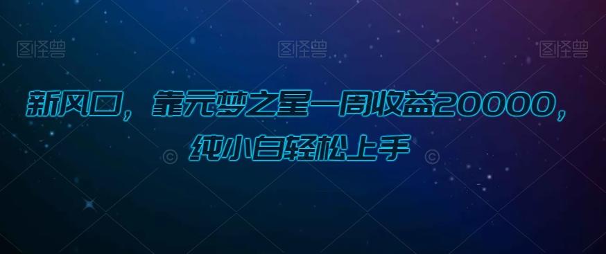 新风口，靠元梦之星一周收益20000，纯小白轻松上手-禾谷轻创网