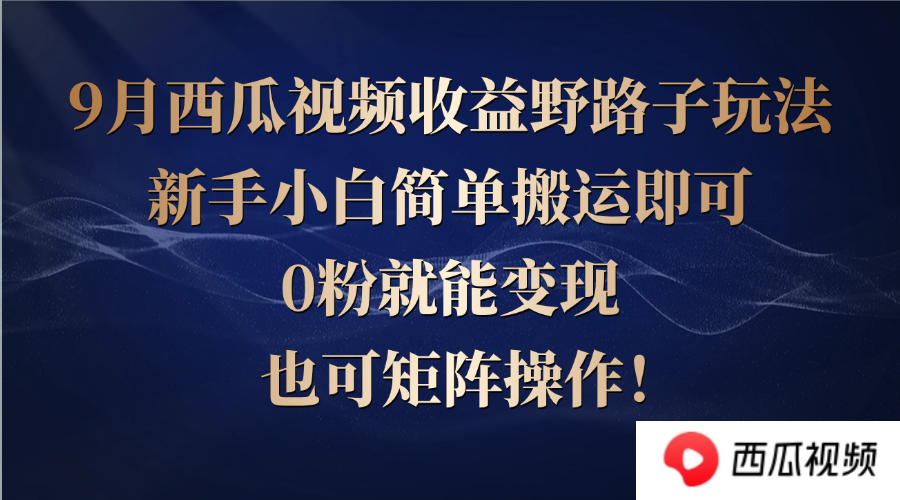 西瓜视频收益野路子玩法，新手小白简单搬运即可，0粉就能变现，也可矩…-禾谷轻创网