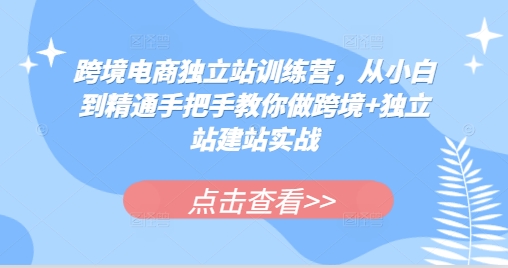 跨境电商独立站训练营，从小白到精通手把手教你做跨境+独立站建站实战-禾谷轻创网