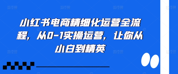 小红书电商精细化运营全流程，从0-1实操运营，让你从小白到精英-禾谷轻创网
