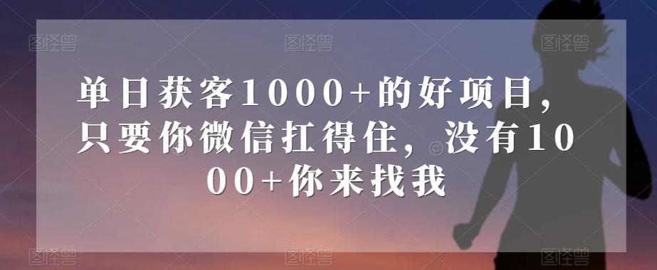 单日获客1000+的好项目，只要你微信扛得住，没有1000+你来找我【揭秘】-禾谷轻创网