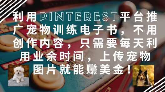 利用Pinterest平台推广宠物训练电子书，不用创作内容，只需要每天利用业余时间，上传宠物图片就能挣美金!-禾谷轻创网