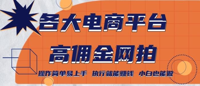 各大电商平台高佣金网拍，操作简单易上手，执行就能赚钱，小白也能做-禾谷轻创网