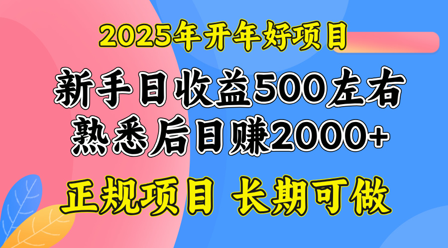 2025开年好项目，单号日收益2000左右-禾谷轻创网