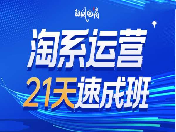 淘系运营21天速成班35期，年前最后一波和2025方向-禾谷轻创网
