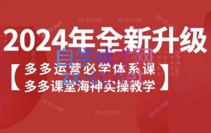 海神老师·拼多多运营必学体系课-禾谷轻创网
