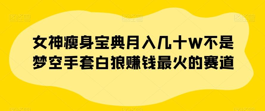 女神瘦身宝典月入几十W不是梦空手套白狼赚钱最火的赛道【揭秘】-禾谷轻创网