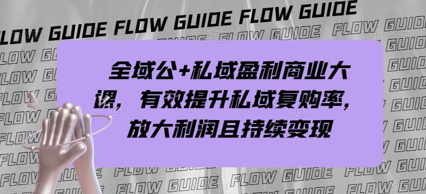 全域公+私域盈利商业大课，有效提升私域复购率，放大利润且持续变现-禾谷轻创网