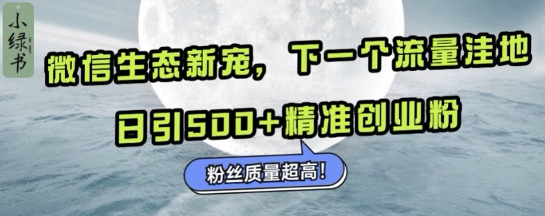 微信生态新宠小绿书：下一个流量洼地，日引500+精准创业粉，粉丝质量超高-禾谷轻创网