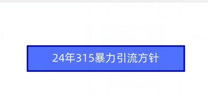 24年315暴力引流方针-禾谷轻创网