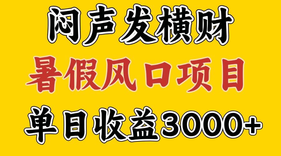 30天赚了7.5W 暑假风口项目，比较好学，2天左右上手-禾谷轻创网