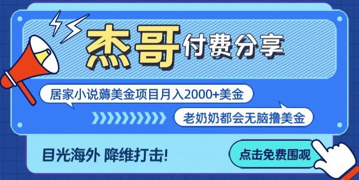 拆解海外撸美金项目月入2000美刀详细指导-禾谷轻创网