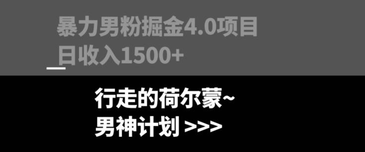 暴力男粉掘金4.0项目不违规不封号无脑复制单人操作日入1000+-禾谷轻创网