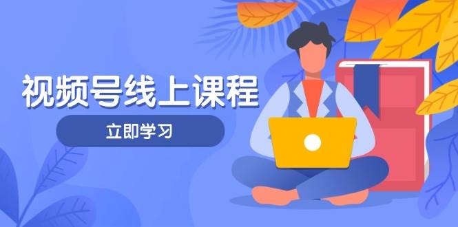 视频号实战课程,轻IP打造与运营技巧,掌握核心方法与策略-禾谷轻创网