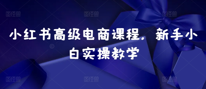 小红书高级电商课程，新手小白实操教学-禾谷轻创网