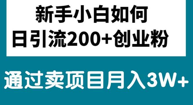 新手小白日引流200+创业粉,通过卖项目月入3W+-禾谷轻创网