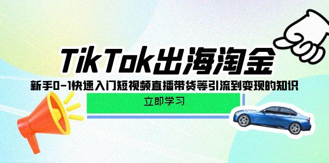 (10035期)TikTok-出海淘金，新手0-1快速入门短视频直播带货等引流到变现的知识-禾谷轻创网