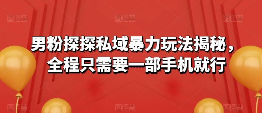 男粉探探私域暴力玩法揭秘，全程只需要一部手机就行-禾谷轻创网