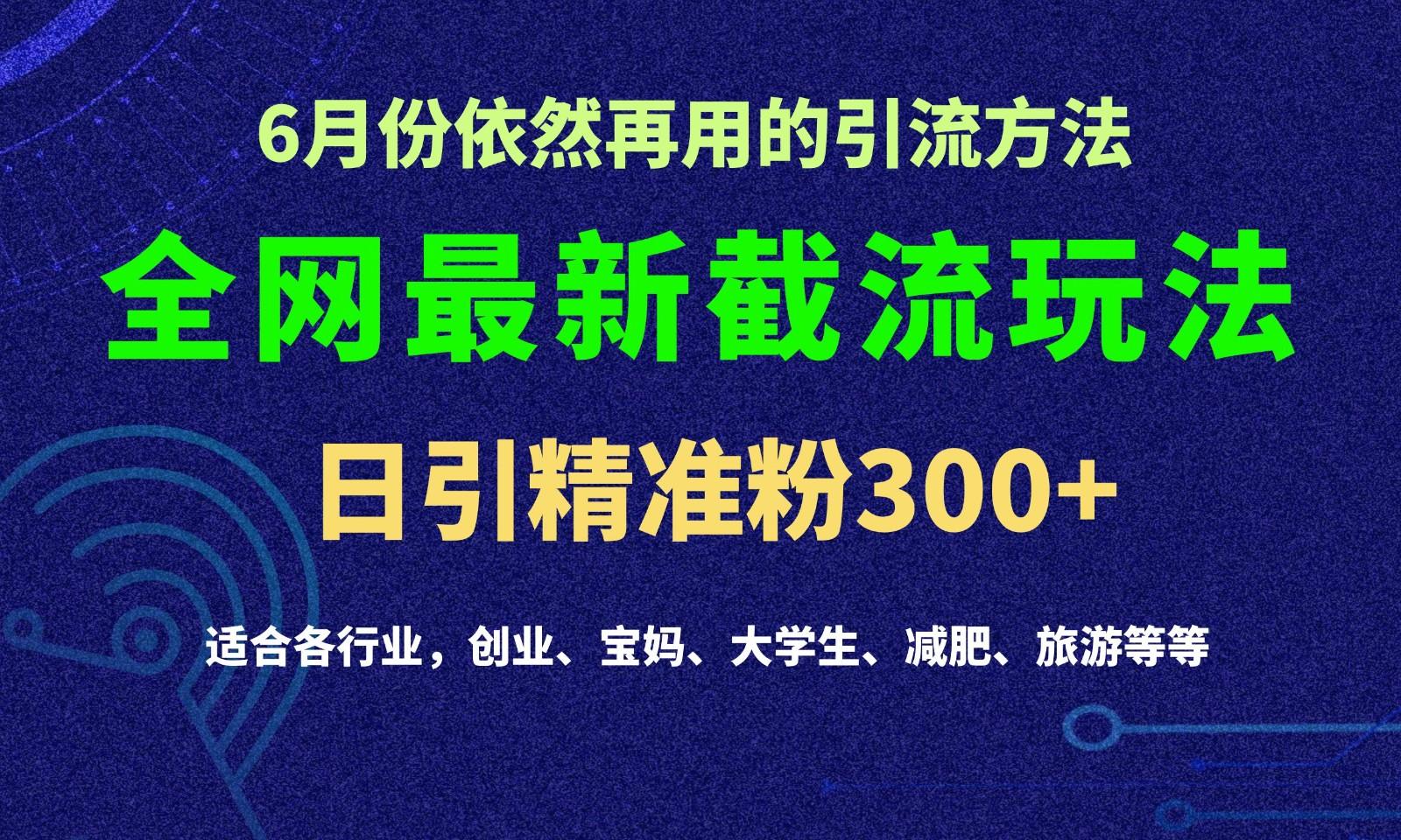 2024全网最新截留玩法,每日引流突破300+-禾谷轻创网