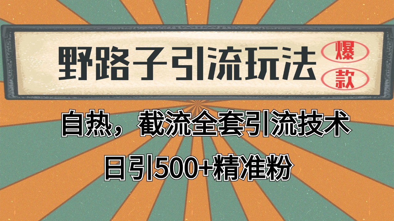 2024首发野路子引流玩法截流自热全平台打法，全自动引流【日引2000+精准客户】-禾谷轻创网