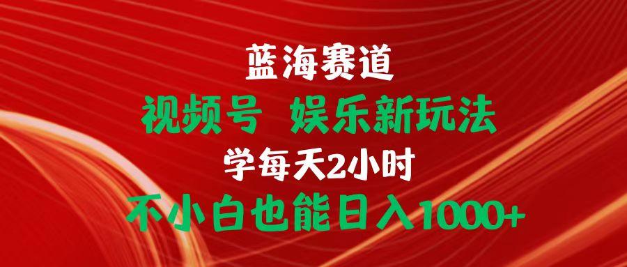 蓝海赛道视频号 娱乐新玩法每天2小时小白也能日入1000+-禾谷轻创网