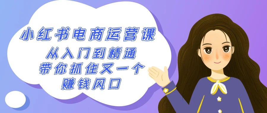2024小红书-电商运营课，从入门到精通，带你抓住又一个赚钱风口(50节课)-禾谷轻创网