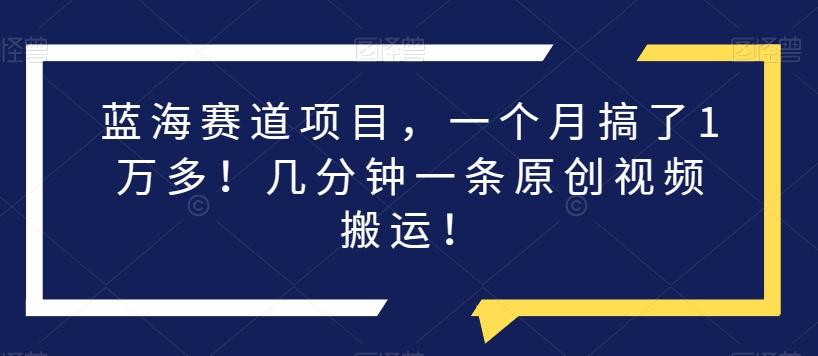 蓝海赛道项目，一个月搞了1万多！几分钟一条原创视频搬运！-禾谷轻创网