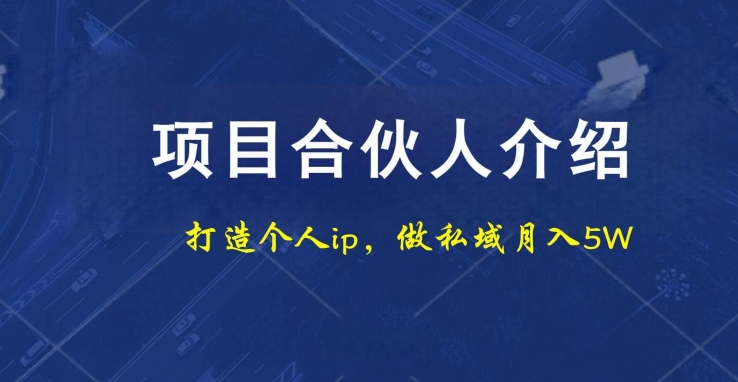 项目合伙人项目，打造个人IP，做私域月入5W，小白勿扰-禾谷轻创网