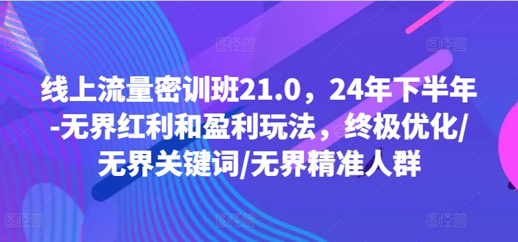 线上流量密训班21.0，24年下半年-无界红利和盈利玩法，终极优化/无界关键词/无界精准人群-禾谷轻创网