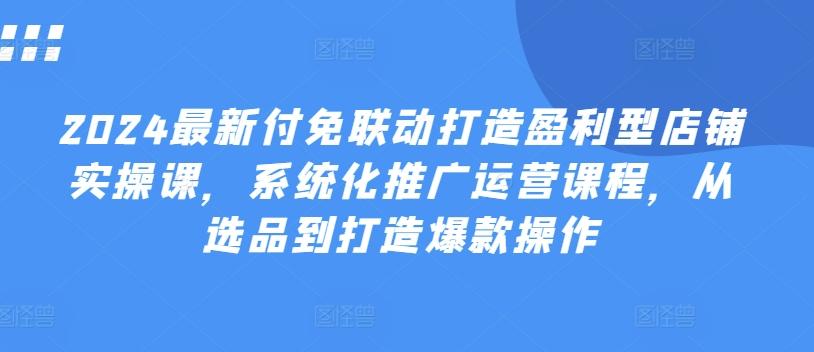 2024最新付免联动打造盈利型店铺实操课，​系统化推广运营课程，从选品到打造爆款操作-禾谷轻创网