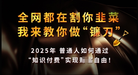 知识付费如何做到月入过W+，2025我来教你做“镰刀”【揭秘】-禾谷轻创网