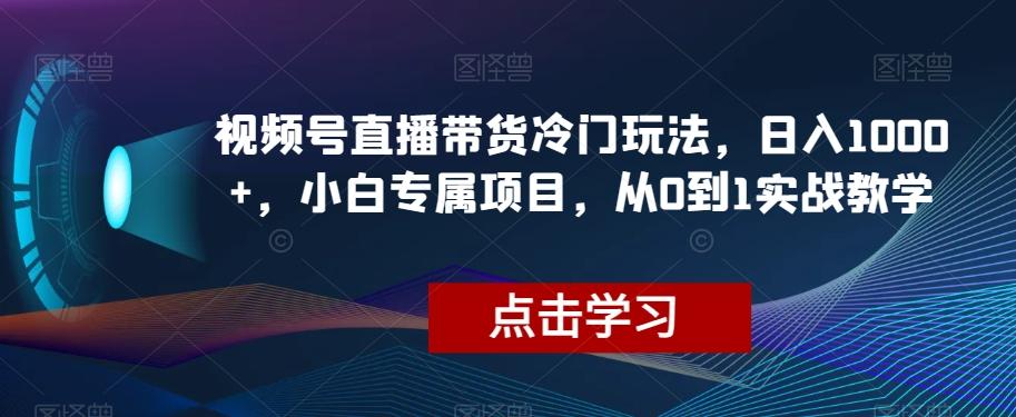 视频号直播带货冷门玩法，日入1000+，小白专属项目，从0到1实战教学【揭秘】-禾谷轻创网