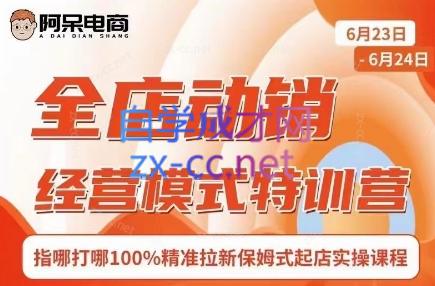 阿呆电商·全店动销经营模式特训营(线下录音+思维导图)-禾谷轻创网