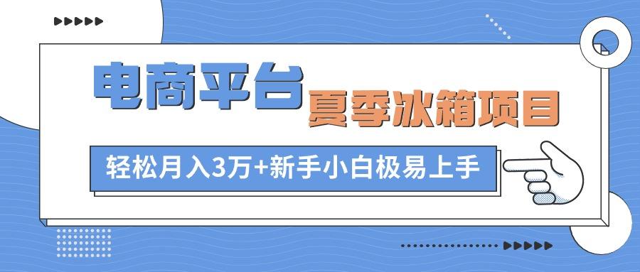 电商平台夏季冰箱项目，轻松月入3万+，新手小白极易上手-禾谷轻创网