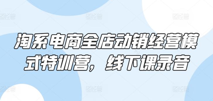 淘系电商全店动销经营模式特训营，线下课录音-禾谷轻创网