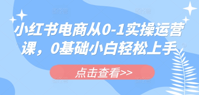小红书电商从0-1实操运营课，0基础小白轻松上手-禾谷轻创网