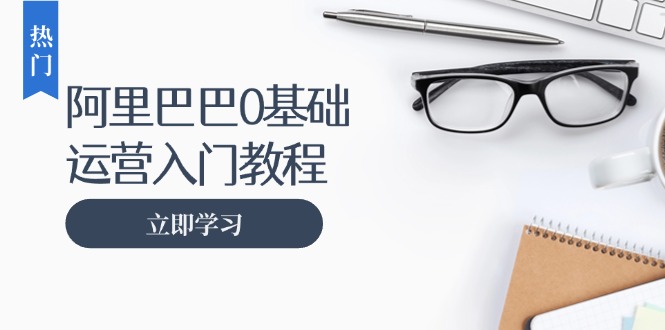 阿里巴巴运营零基础入门教程：涵盖开店、运营、推广，快速成为电商高手-禾谷轻创网
