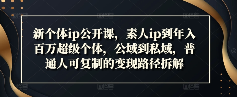 新个体ip公开课，素人ip到年入百万超级个体，公域到私域，普通人可复制的变现路径拆解-禾谷轻创网