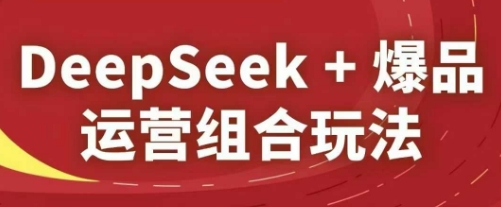 DeepSeek+爆品运营组合玩法，2025淘系精品课-禾谷轻创网